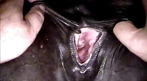 animal-fuck,horse-sex