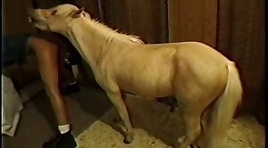 untold,bestiality-stories